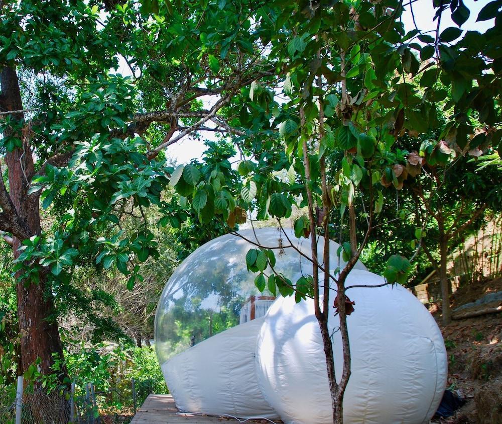 Sweet Harmony Hotel Boutique By Xarm Hotels ミンカ エクステリア 写真